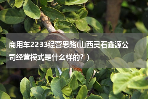 商用车2233经营思路(山西灵石鑫源公司经营模式是什么样的？)