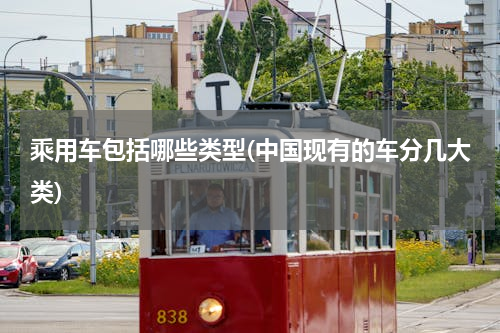 乘用车包括哪些类型(中国现有的车分几大类)