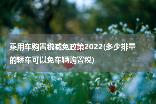 乘用车购置税减免政策2022(多少排量的轿车可以免车辆购置税)