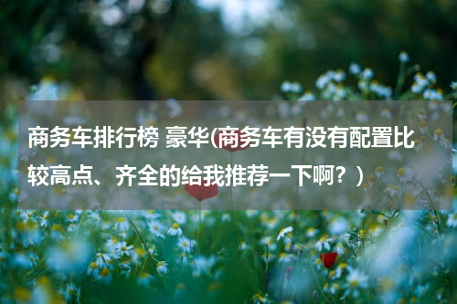 商务车排行榜 豪华(商务车有没有配置比较高点、齐全的给我推荐一下啊？)