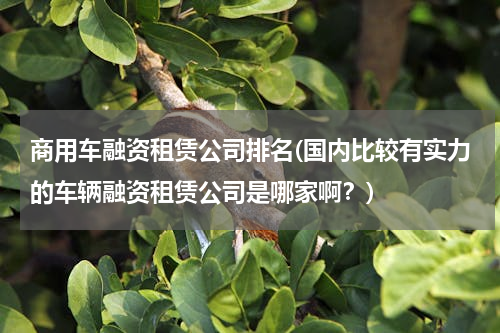 商用车融资租赁公司排名(国内比较有实力的车辆融资租赁公司是哪家啊？)