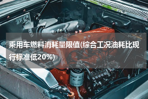乘用车燃料消耗量限值(综合工况油耗比现行标准低20%)
