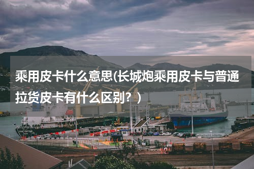 乘用皮卡什么意思(长城炮乘用皮卡与普通拉货皮卡有什么区别？)