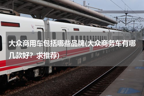 大众商用车包括哪些品牌(大众商务车有哪几款好？求推荐)
