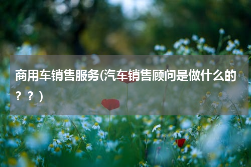 商用车销售服务(汽车销售顾问是做什么的？？)