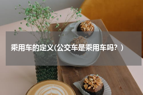 乘用车的定义(公交车是乘用车吗？)