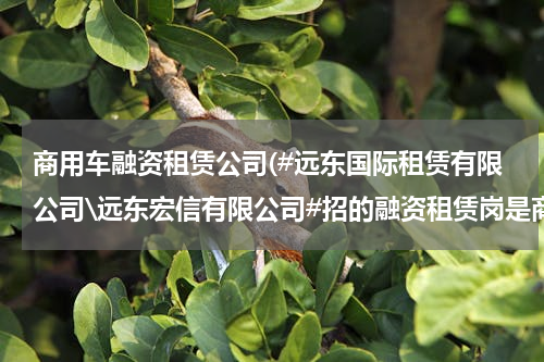 商用车融资租赁公司(#远东国际租赁有限公司\远东宏信有限公司#招的融资租赁岗是商用车的融资租赁吗)