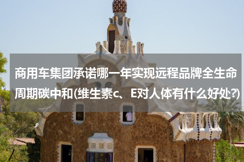 商用车集团承诺哪一年实现远程品牌全生命周期碳中和(维生素c、E对人体有什么好处?)