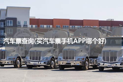 汽车票查询(买汽车票手机APP哪个好)