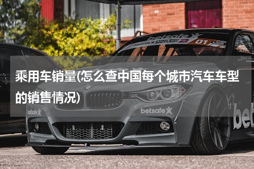 乘用车销量(怎么查中国每个城市汽车车型的销售情况)