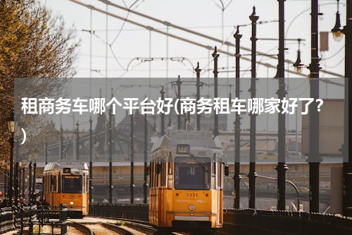租商务车哪个平台好(商务租车哪家好了？)
