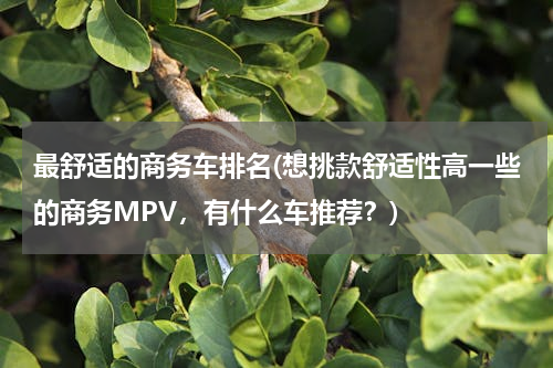 最舒适的商务车排名(想挑款舒适性高一些的商务MPV，有什么车推荐？)