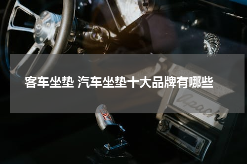 客车坐垫 汽车坐垫十大品牌有哪些