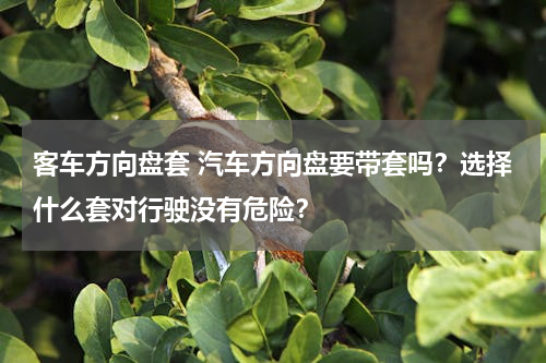 客车方向盘套 汽车方向盘要带套吗？选择什么套对行驶没有危险？