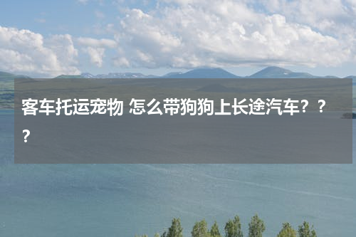客车托运宠物 怎么带狗狗上长途汽车？？？
