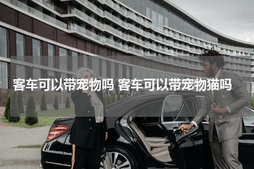客车可以带宠物吗 客车可以带宠物猫吗