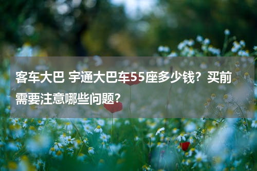 客车大巴 宇通大巴车55座多少钱？买前需要注意哪些问题？