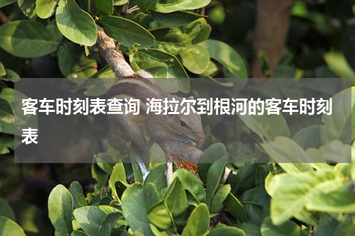 客车时刻表查询 海拉尔到根河的客车时刻表