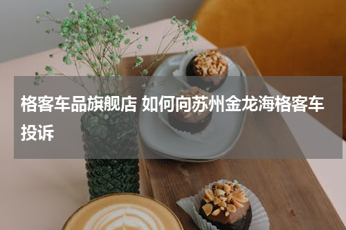 格客车品旗舰店 如何向苏州金龙海格客车投诉