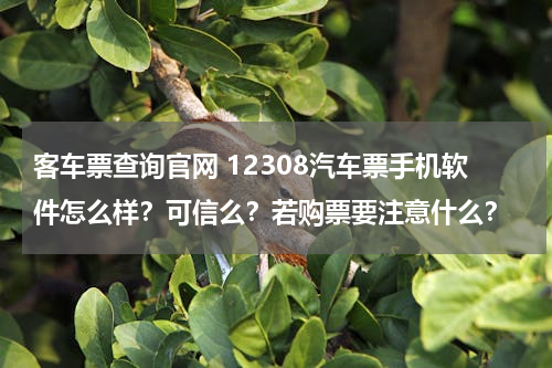 客车票查询官网 12308汽车票手机软件怎么样？可信么？若购票要注意什么？