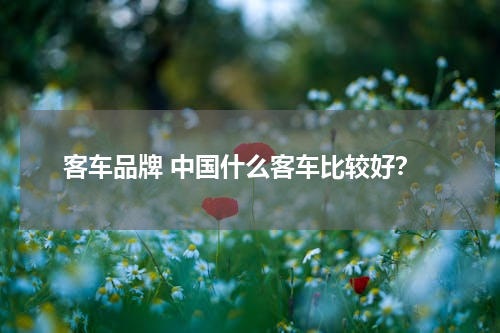 客车品牌 中国什么客车比较好？