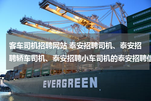 客车司机招聘网站 泰安招聘司机、泰安招聘轿车司机、泰安招聘小车司机的泰安招聘信息？？