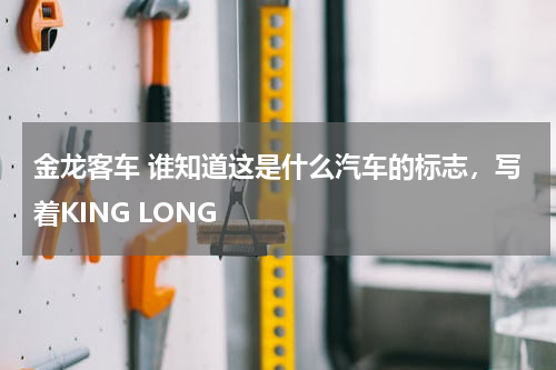 金龙客车 谁知道这是什么汽车的标志，写着KING LONG