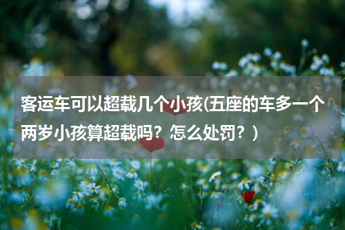 客运车可以超载几个小孩(五座的车多一个两岁小孩算超载吗？怎么处罚？)