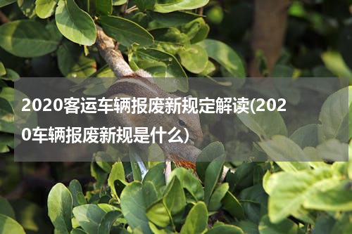 2020客运车辆报废新规定解读(2020车辆报废新规是什么)