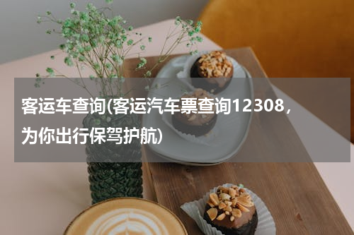 客运车查询(客运汽车票查询12308，为你出行保驾护航)