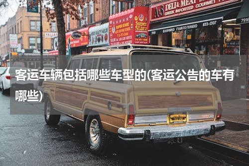 客运车辆包括哪些车型的(客运公告的车有哪些)