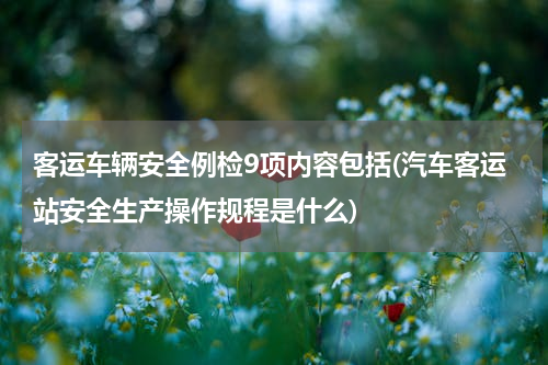 客运车辆安全例检9项内容包括(汽车客运站安全生产操作规程是什么)
