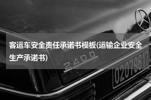 客运车安全责任承诺书模板(运输企业安全生产承诺书)