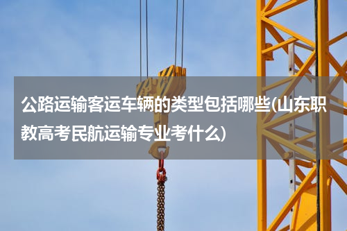 公路运输客运车辆的类型包括哪些(山东职教高考民航运输专业考什么)