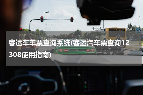 客运车车票查询系统(客运汽车票查询12308使用指南)