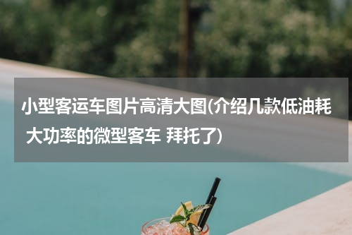 小型客运车图片高清大图(介绍几款低油耗 大功率的微型客车 拜托了)