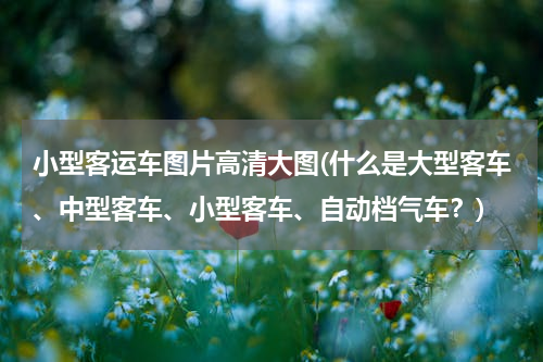 小型客运车图片高清大图(什么是大型客车、中型客车、小型客车、自动档气车？)