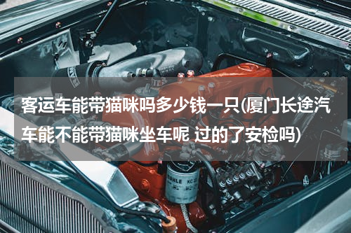 客运车能带猫咪吗多少钱一只(厦门长途汽车能不能带猫咪坐车呢 过的了安检吗)