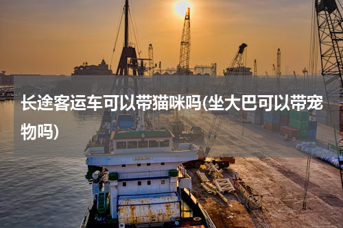 长途客运车可以带猫咪吗(坐大巴可以带宠物吗)