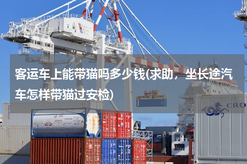 客运车上能带猫吗多少钱(求助，坐长途汽车怎样带猫过安检)
