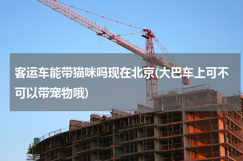 客运车能带猫咪吗现在北京(大巴车上可不可以带宠物哦)