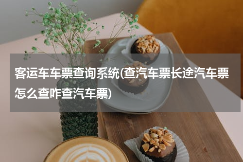 客运车车票查询系统(查汽车票长途汽车票怎么查咋查汽车票)