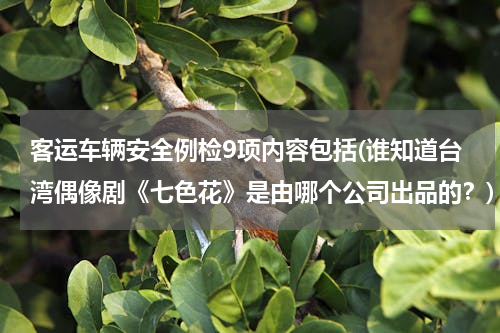 客运车辆安全例检9项内容包括(谁知道台湾偶像剧《七色花》是由哪个公司出品的？)