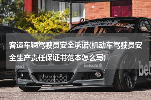 客运车辆驾驶员安全承诺(机动车驾驶员安全生产责任保证书范本怎么写)