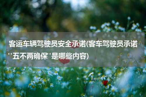 客运车辆驾驶员安全承诺(客车驾驶员承诺"五不两确保"是哪些内容)