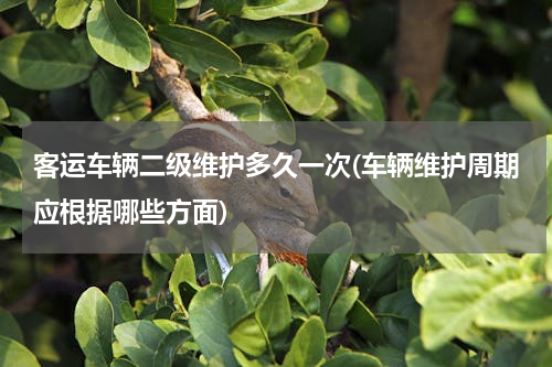 客运车辆二级维护多久一次(车辆维护周期应根据哪些方面)