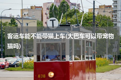 客运车能不能带猫上车(大巴车可以带宠物猫吗)