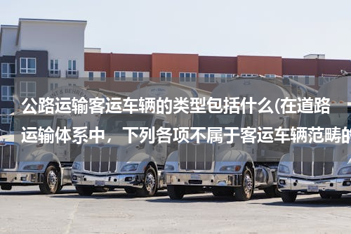 公路运输客运车辆的类型包括什么(在道路运输体系中，下列各项不属于客运车辆范畴的是( )。)