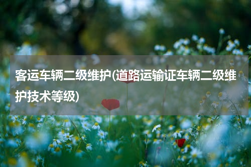 客运车辆二级维护(道路运输证车辆二级维护技术等级)