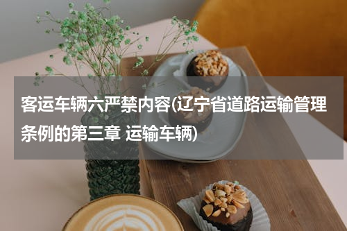 客运车辆六严禁内容(辽宁省道路运输管理条例的第三章 运输车辆)